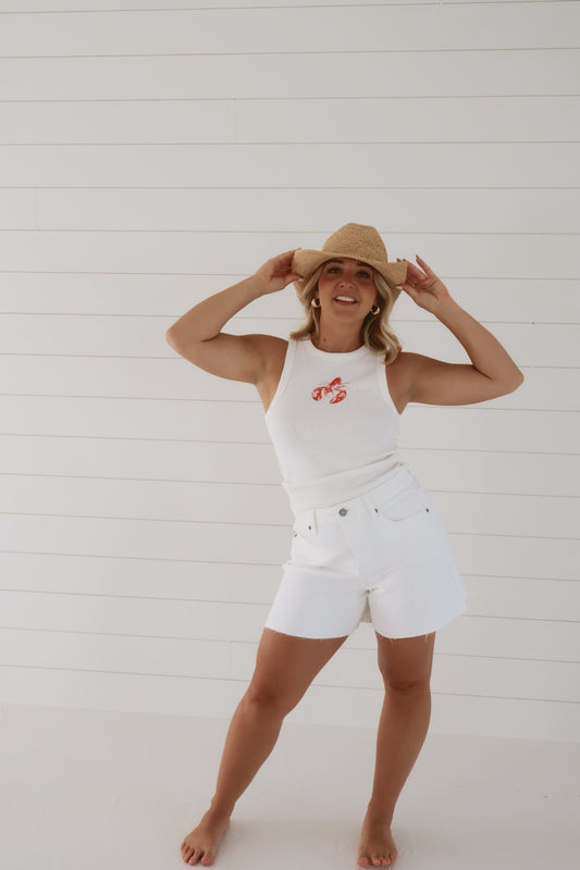 Ava High Rise Denim Shorts