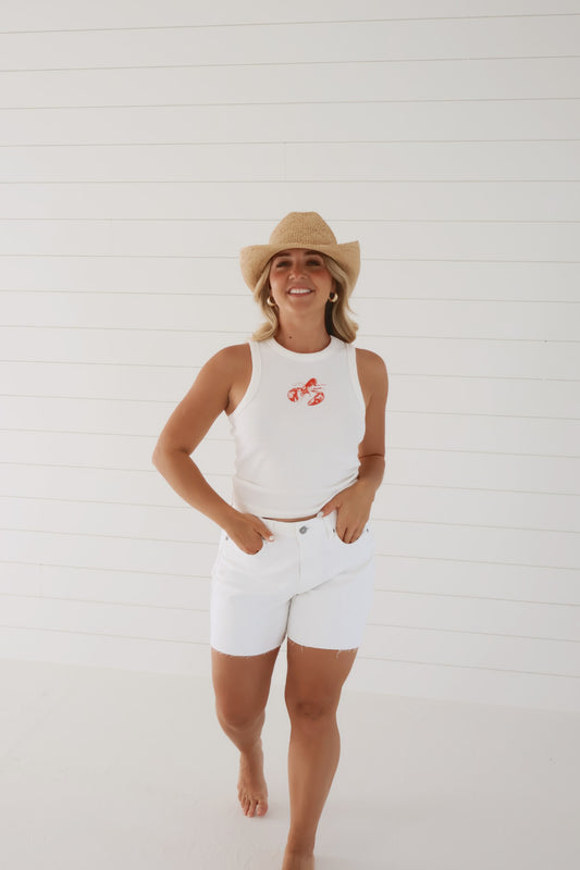 Ava High Rise Denim Shorts